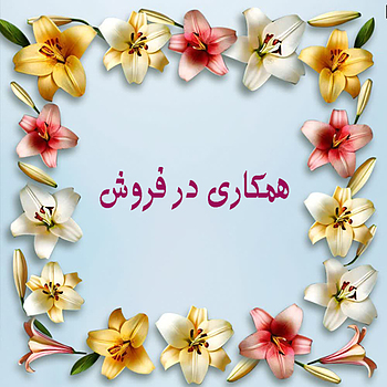   🛍 سیستم همکاری در فروش شال و روسری لیلیوم 🛍 ✅ اگه کانال ایتا ؛ کانال تلگرام ، کانال روبیکا ، کانال بله یا پیج اینستاگرام فروشگاهی دارین کافیه عکس های ژورنالی شال ها یا روسری های موجود در سایت  رو در کانال فروشگاهی خودتون قرار بدین و فروش اینترنتی خودتون رو شروع کنین . شما بابت فروش هر محصول 18 درصد کمیسیون دریافت میکنین. بعنوان مثال : قیمت تک فروشی روسری نخی ژاکارد 298.000 هزارتومان هستش. ما این روسری رو برای شما { همکار فروش اینترنتی } 268.200 تومان فاکتور میکنیم ... این یعنی شما از فروش یک عدد روسری نخی ژاکارد 29.800 تومان کمیسیون دریافت میکنین ... اگر روزی 10 عدد روسری نخی ژاکارد بفروشین کمیسیون شما روزانه 298.000تومان و در طول یک ماه میشه 8.940.000 تومان 💵💵👌 چی از این بهتر که با گوشی موبایلت توی خونه بشینی و کسب درآمد کنی ؟؟ 😍😍😍 💥 فروش بیشتر = سود بیشتر 💥 💥 فروش بیشتر = سود بیشتر 💥 🔴 فروشندگان اینترنتی در سیستم همکاری در فروش ملزم به اجرای موارد زیر میباشند👇 •	ارسال نام و نام خانوادگی و شماره موبایل بهمراه آدرس کانال ایتا ، یا کانال تلگرام و یا پیج اینستاگرام خود برای ما به شماره موبایل در تلگرام یا ایتا : 09123979279 ⭕️ بسیار مهم :  اول - فقط مجاز به استفاده از تصاویری هستین که در سایت ، کانال تلگرام و پیج اینستاگرام تک فروشی شال و روسری لیلیوم قرار داده میشه ✅✅ اکثر عکسهای موجود در کانال ایتا ، تلگرام ، اینستاگرام و سایت لیلیوم دارای لوگو یا واترمارک میباشد .اما شما میتونین با مراجعه به کانال تلگرام یا ایتا عکسهای بدون لوگو از این تصاویر استفاده کنین. آدرس این کانال در زمانی که کد تخفیف همکاری براتون فعال میشه ارسال خواهد شد . تعدادی از روسری ها عکس بدون لوگو نداره .قیمت تک فروشی شما نباید از قیمت تک فروشی لیلیوم استایل کمتر باشه حتی ۱۰۰۰ تومان⚠️❌❌⛔️⛔️     دوم : توجه داشته باشید 👇  نام کانال، آی دی یا پیج و حتی لوگوی شما نباید مشابه نام لیلیوم اسکارف یا لیلیوم استایل باشد ❌❌⛔️⛔️  ⚠️ تعداد ممبر { عضو } یا فالوور{دنبال کننده} در ایتا ، روبیکا ، تلگرام یا اینستاگرام برای شروع همکاری مهم است ... باید حداقل 200 ممبر یا فالوور و از فعالیت شما در شبکه های اجتماعی 3 ماه گذشته باشد و کانال یا پیج شما باید فعالیت منظم داشته باشد.  سوم - برای شروع همکاری باید در یکی از شبکه های اجتماعی مانند تلگرام ، اینستاگرام ، ایتا ، بله یا روبیکا کانال یا پیج فروشگاهی داشته باشین . بعدش در ایتا به ما اطلاع بدین تا پیج یا کانال شمارو بررسی کنیم { داشتن خط ایتا برای شروع همکاری ضروری میباشد❌❌ }   چهارم - پس از بررسی پیج یا کانال فروشگاهی شما کد تخفیف همکاری (10 درصدی) در اختیار شما قرار میگیره که با استفاده از این کد تخفیف میتونین در سایت لیلیوم ثبت سفارش و کمیسیون خودتون رو برداشت کنین.  🔴 بسیار مهم : همیشه برای مشتری عکس نمای نزدیک یا غیرژورنال ارسال کنین . به چند دلیل : - گاهی اوقات از یک عکس ژورنال برای معرفی چندین نوع روسری یا شال استفاده میشه - در چاپ مجدد امکان داره رنگ شال یا روسری کمی تغییر کنه - در عکاسی از نورپردازی و افکت استفاده میشه و ممکنه رنگ شال یا روسری در عکس تغییر کنه ✅ پس همیشه و همیشه برای مشتری عکس غیرژورنالی { نمای نزدیک } بفرستین { در صورتی که محصول مورد نظر فاقد عکس غیرژورنالی { نمای نزدیک } بود یعنی دقیقا مطابق محصول هستش و اصلا نیازی به عکس نمای نزدیک نیست به همین دلیل درخواست عکس غیرژورنال نکنین ✅✅ اول - برای ثبت سفارش تمامی همکاران محترم موظف هستن از طریق همین سایت به آدرس www.liliumStyle.ir اقدام کنند یعنی وقتی مشتری به شما سفارش داد شما بایستی ابتدا بررسی کنین محصول در سایت موجود هست یا خیر ❗️❗️ برای مشاهده سریعتر موجودی محصولات فیلتر وضعیت "فقط موجود" را در حالت " فعال" قرار بدین تا فقط محصولاتی که موجود هستن به شما نمایش داده بشه{ بسیار مهم : اگه ثبت سفارش در سایت لیلیوم رو بلد نیستی حتما بخش راهنمای خرید رو نگاه کنین }  دوم - هر محصول در سایت لیلیوم دارای کد میباشد . برای پیدا کردن شال یا روسری مورد نظر خودتون در هنگامی که محصولات رو در پیج یا کانال معرفی میکنین ، کد مربوط به هر روسری یا شال رو هم توضیحات پیج یا کانال خودتون بنویسین تا سریعتر بتونین سفارشتون رو در سایت پیدا کنین ❗️❗️ بعنوان مثال کد یک روسری GRZA01 هستش .... برای جستجوی این روسری کافیه بنویسین GRZA01 ... به همین سادگی میتونین محصول موردنظر خودتون رو در سایت لیلیوم جستجو کنین✅✅ سوم - اگه شال یا روسری مورد نظر موجود بود ، بلافصله به مشتری اعلام کنین و شماره کارت خودتون رو برای خریدار ارسال کنین❗️❗️  چهارم - وقتی مشتری مبلغ روسری یا شال رو به حساب شما واریز کرد شما بایستی سریعا با استفاده از کد تخفیفی که در اختیارتون قرار گرفته توی سایت ثبت سفارش کنین ❗️❗️ { بعد از نوشتن کد تخفیف باید حتما روی آیکون " اعمال تخفیف" کلیک کنین❗️❗️} { برای ثبت سفارش رمز دوم یکبار مصرف کارت بانکی خودتون الزامی میباشد } ⚠️بسیار مهم : در هنگام ثبت سفارش حتما کد تخفیف همکاری را اعمال نمایید . در صورت فراموش کردن درج کد تخفیف هیچ گونه عذر و بهانه ای مورد پذیرش نمیباشد و کمیسیون همکاری به شما تعلق نخواهد گرفت❌❌❌❌ ⚠️ در صورت ثبت سفارش همزمان روسری یا شال بهمراه ست کیف و روسری ، روسری یا شال جداگانه و ست کیف و روسری هم بصورت جداگانه برای مشتری ارسال خواهد شد . یعنی مشتری دو بسته ی پستی دریافت خواهد کرد . 🔴 بسیارمهم : لطفا دقت کنین در هنگام ثبت سفارش ، در قسمت " شماره موبایل" حتما شماره موبایل خودتون رو تایپ کنین تا پیامک ثبت سفارش برای شما ارسال بشه در غیر این صورت پیامک برای مشتری شما ارسال خواهد شد ❌❌ متن پیامکی شامل آدرس وبسایت لیلیوم و مبلغ پرداختی شما به ما خواهد بود (بسیار مهم)❌❌⛔⛔ ⚠️ موجودی سایت هر روز و هر لحظه بروزرسانی میشه ... برای مشتریان خود پس از تایید موجودی ، زمان واریز تعیین کنین ... بعنوان مثال به مشتری بگین حداکثر 10 دقیقه فرصت داره مبلغ روسری یا شال رو واریز کنه❗️❗️  ⚠️ تمامی همکاران محترم موظف هستن در هنگام ثبت سفارش ، نام و نام خانوادگی خریدار { کسی که پول رو به حساب شما واریز کرده } رو در زمان ثبت سفارش بنویسین نه نام شخصی خودتون رو ❗️❗️ در قسمت آدرس هم عینا اون چیزی که مشتری برای شما فرستاده رو کپی کنین و در قسمت آدرس جایگذاری کنین نه بیشتر و نه کمتر ❗️❗️ اگر آدرس و مشخصات گیرنده رو اشتباه نوشتین ممکنه سفارش از طرف اداره پست مرجوع بشه و مسئولیت آن برعهده ی شما و هزینه ارسال مجدد 35 هزارتومان میباشد.  ⚠️ شماره موبایل گیرنده رو فقط در انتهای آدرس پستی بنویسین { فقط به این علت که این شماره موبایل بر روی پاکت پستی نوشته میشه چون گاهی اوقات پیش اومده که مامور پست رفته سفارش رو تحویل بده اما گیرنده در محل حاضر نبوده یا زنگشون خراب بوده ... اینجا شماره موبایل خیلی کمک کننده ست تا مامور پست با گیرنده تماس بگیره } { نگران نباشین ما به هیچ عنوان به مشتری شما زنگ نمیزنیم و یا پیامک نمیدیم }  💬 در هنگام درج اطلاعات نوشتن نام خریدار ، نام خانوادگی خریدار ، آدرس پستی ، موبایل الزامی میباشد. نوشتن کدپستی و ایمیل الزامی نیست اما بهتره که کدپستی نوشته بشه. تمامی اطلاعات خریدار را فقط در کادر آدرس پستی قرار بدین و به هیچ عنوان در کادر تلفن ثابت و کادر کد پستی چیزی ننویسین .  ❌❌ ❌❌ در قسمت آدرس هم عینا اون چیزی که مشتری برای شما فرستاده رو کپی کنین و در قسمت آدرس جایگذاری کنین نه بیشتر و نه کمتر ❗️❗️ کادر کد پستی رو تلفن ثابت را خالی بگذارین ❌❌ ❌❌   🔴 مدت زمان ارسال و دریافت سفارشات 👇👇 🚛 سفارشات با دو مدل پست ارسال میشوند 👇👇 1️⃣ پست پیشتاز { تمام نقاط ایران } 2️⃣ پست تیپاکس { فقط شهر و شهرستان تحت پوشش تیپاکس } ❌❌ بصورت پیش فرض پست پیشتاز در زمان ثبت سفارش فعال میباشد{بسیارمهم } ❌❌ ✔️ برای انتخاب پست تیپاکس کافیه روی گزینه " پست تیپاکس " در بخش "روش های ارسال " کلیک کنید . با انتخاب این گزینه هزینه ی پستی در فاکتور لحاظ نخواهد شد و گیرنده موظف است در زمان تحویل سفارش ، هزینه ی ارسال را به مامور تیپاکس پرداخت نماید .هزینه ی ارسال با تیپاکس بر اساس مسافت و وزن سفارش در سیستم تیپاکس محاسبه و بصورت پیامک برای گیرنده ارسال خواهد شد . ❌ در صورت انتخاب روش ارسال با " پست تیپاکس " به هیچ عنوان امکان تغییر در روش ارسال وجود نداره ... لطفا در انتخاب روش ارسال با " پست پیشتاز " یا " پست تیپاکس " دقت کنین ❌❌ 🚛 مشاهده لیست شهرهای نمایندگی تیپاکس 👇👇 https://tipaxco.com/branches/standardpoint ⚠️ بسیااااااااار مهم : قبل از انتخاب روش ارسال با پست تیپاکس ، لیست نمایندگی تیپاکس در شهرهای مختلف را مشاهده کنین ‼️ در صورتی آدرس گیرنده جز شهرهای دارای نمایندگی تیپاکس نبود ، از تغییر روش ارسال از " پست پیشتاز " به " پست تیپاکس " جدا خودداری کنین ❌❌⛔️⛔️ 📦 تمامی سفارشات در تهران و سایر استانها حداکثر تا 24 تا 72 ساعت پس از ثبت و واریز مبلغ ، با پست پیشتاز ارسال میشه { گاهی اوقات به دلیل مشغله ی کاری ممکنه سفارشات با 2 یا سه روز تاخیر ارسال بشه }  💜 هزینه ارسال برای خرید کمتر از 600 هزارتومان = 30 هزارتومان  💛 هزینه ارسال برای خرید بیشتر از 600 هزارتومان = ارسال رایگان✅  🔴 برای رهگیری سفارشات ارسال شده با استفاده ار شماره 24 رقمی به سامانه رهگیری مرسولات پستی سایت اداره پست مراجعه نمایید 👇👇 🔴 جهت مشاهده رسید پستی مرسولات ارسال شده میتونین به کانال ایتا "رسیدهای پستی شال و روسری لیلیوم" یا کانال تلگرام " رسید های پستی شال و روسری لیلیوم " مراجعه نمایید