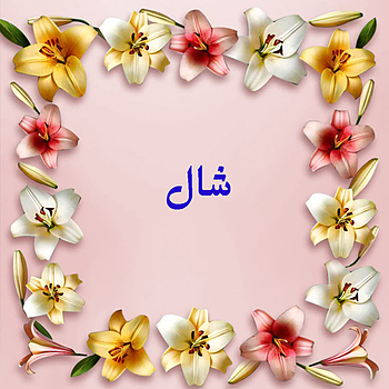   🛍 سیستم همکاری در فروش شال و روسری لیلیوم 🛍 ✅ اگه کانال ایتا ؛ کانال تلگرام ، کانال روبیکا ، کانال بله یا پیج اینستاگرام فروشگاهی دارین کافیه عکس های ژورنالی شال ها یا روسری های موجود در سایت  رو در کانال فروشگاهی خودتون قرار بدین و فروش اینترنتی خودتون رو شروع کنین . شما بابت فروش هر محصول 18 درصد کمیسیون دریافت میکنین. بعنوان مثال : قیمت تک فروشی روسری نخی ژاکارد 298.000 هزارتومان هستش. ما این روسری رو برای شما { همکار فروش اینترنتی } 268.200 تومان فاکتور میکنیم ... این یعنی شما از فروش یک عدد روسری نخی ژاکارد 29.800 تومان کمیسیون دریافت میکنین ... اگر روزی 10 عدد روسری نخی ژاکارد بفروشین کمیسیون شما روزانه 298.000تومان و در طول یک ماه میشه 8.940.000 تومان 💵💵👌 چی از این بهتر که با گوشی موبایلت توی خونه بشینی و کسب درآمد کنی ؟؟ 😍😍😍 💥 فروش بیشتر = سود بیشتر 💥 💥 فروش بیشتر = سود بیشتر 💥 🔴 فروشندگان اینترنتی در سیستم همکاری در فروش ملزم به اجرای موارد زیر میباشند👇 •	ارسال نام و نام خانوادگی و شماره موبایل بهمراه آدرس کانال ایتا ، یا کانال تلگرام و یا پیج اینستاگرام خود برای ما به شماره موبایل در